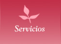 Servicios